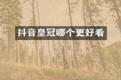 抖音皇冠哪个更好看