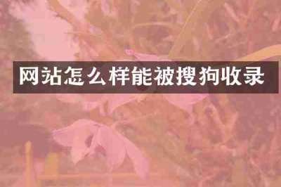 网站怎么样能被搜狗收录