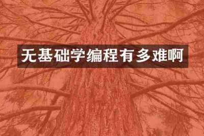 无基础学编程有多难啊