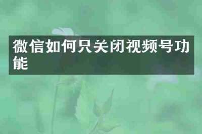 微信如何只关闭视频号功能