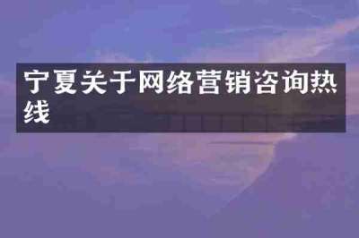 宁夏关于网络营销咨询热线