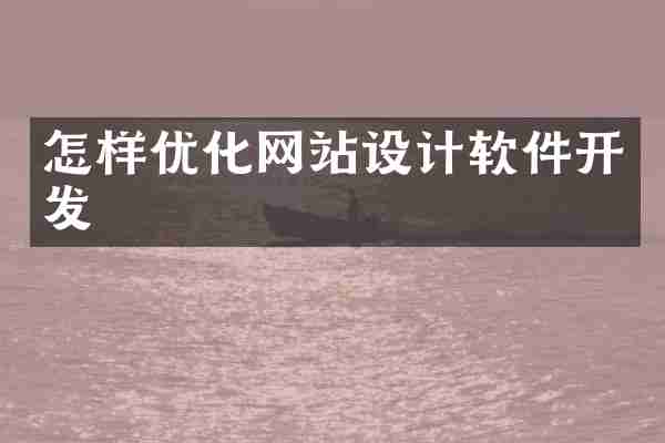 怎样优化网站设计软件开发