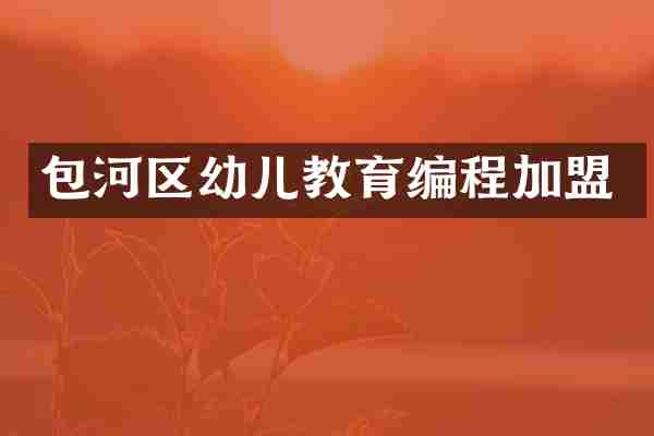 包河区幼儿教育编程加盟