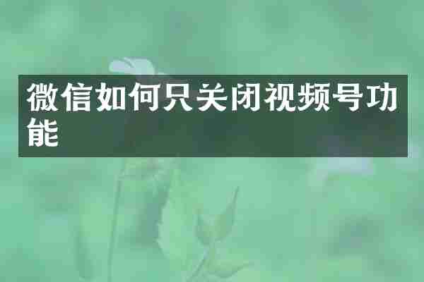 微信如何只关闭视频号功能