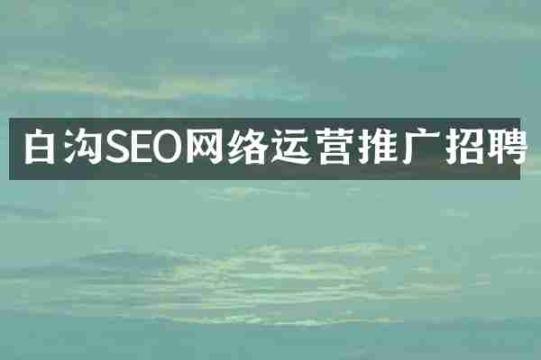 白沟SEO网络运营推广招聘