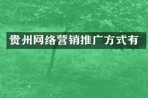 贵州网络营销推广方式有