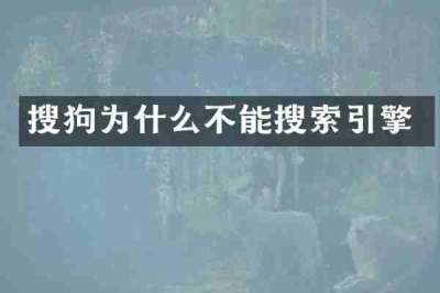 搜狗为什么不能搜索引擎