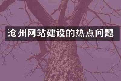沧州网站建设的热点问题