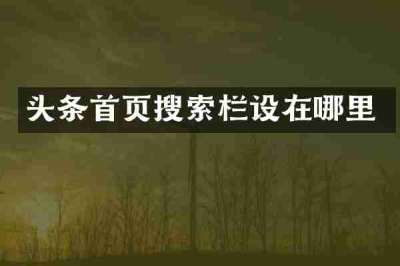 头条首页搜索栏设在哪里