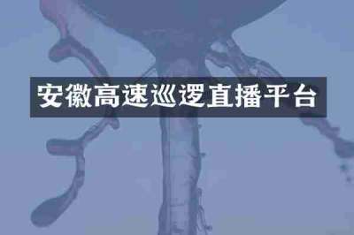 安徽高速巡逻直播平台