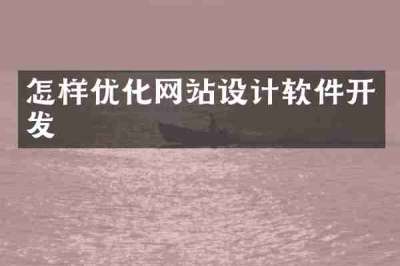 怎样优化网站设计软件开发