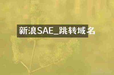 新浪SAE_跳转域名
