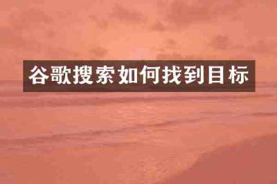 谷歌搜索如何找到目标