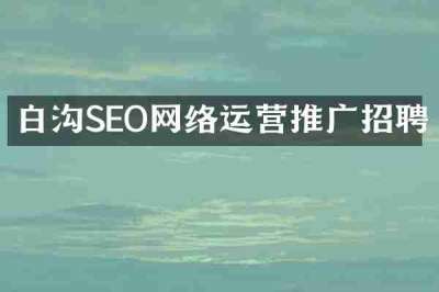白沟SEO网络运营推广招聘