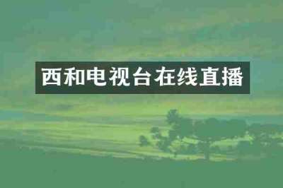西和电视台在线直播
