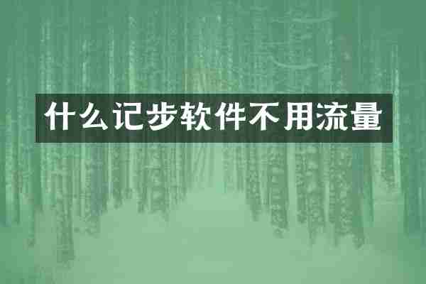 什么记步软件不用流量
