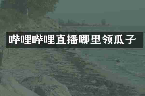 哔哩哔哩直播哪里领瓜子