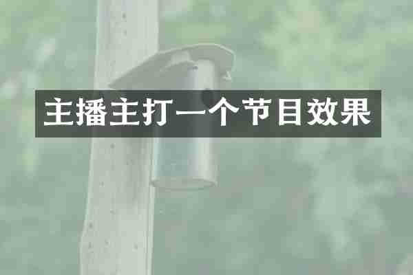 主播主打一个节目效果