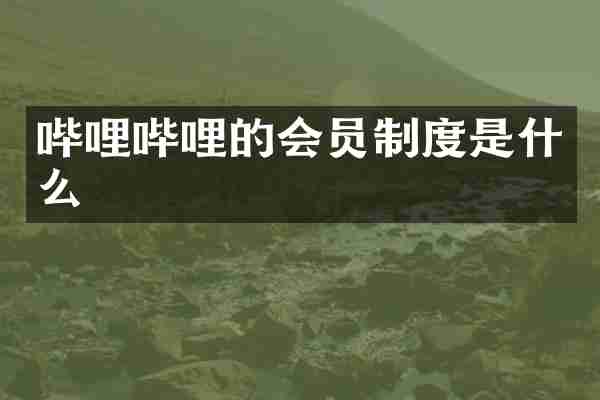 哔哩哔哩的会员制度是什么