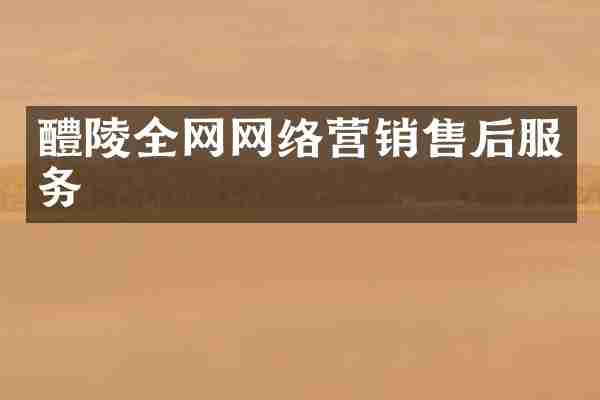 醴陵全网网络营销售后服务