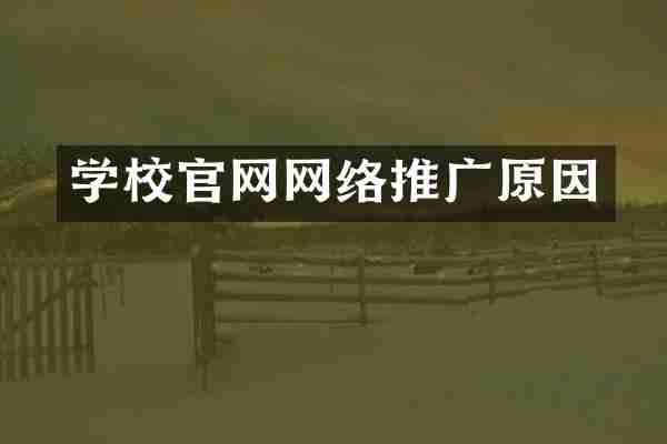 学校官网网络推广原因
