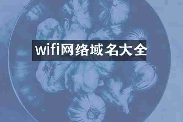 wifi网络域名大全