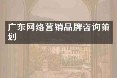 广东网络营销品牌咨询策划