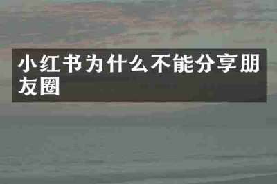小红书为什么不能分享朋友圈