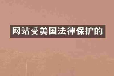 网站受美国法律保护的