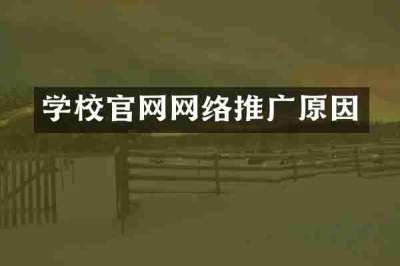 学校官网网络推广原因