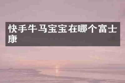 快手牛马宝宝在哪个富士康