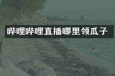 哔哩哔哩直播哪里领瓜子