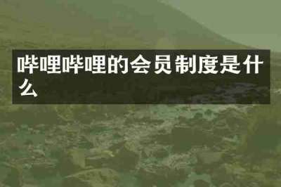 哔哩哔哩的会员制度是什么