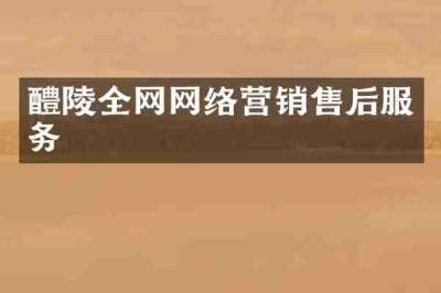 醴陵全网网络营销售后服务