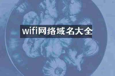 wifi网络域名大全