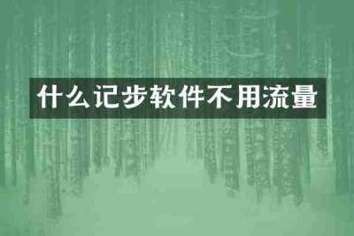 什么记步软件不用流量