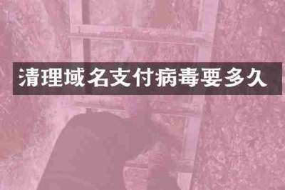 清理域名支付病毒要多久
