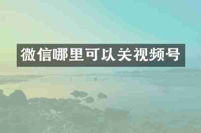 微信哪里可以关视频号