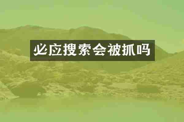 必应搜索会被抓吗