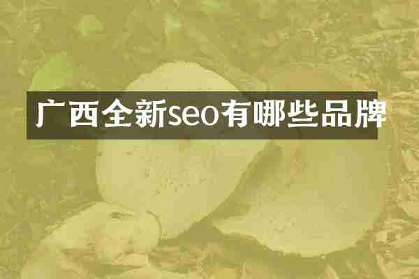 广西全新seo有哪些品牌