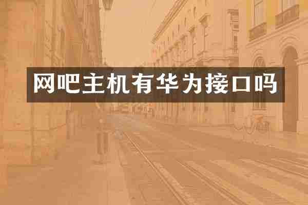 网吧主机有华为接口吗