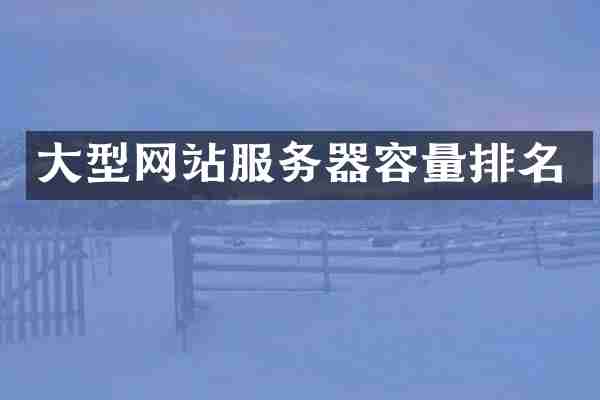 大型网站服务器容量排名