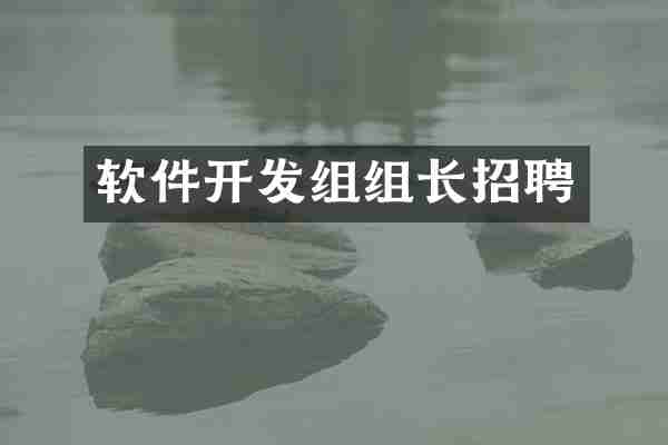 软件开发组组长招聘