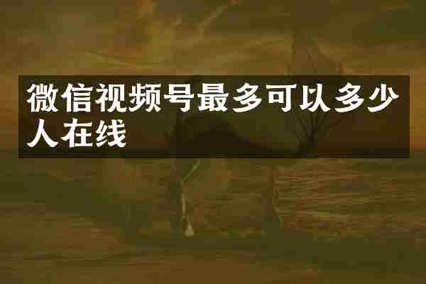 微信视频号最多可以多少人在线