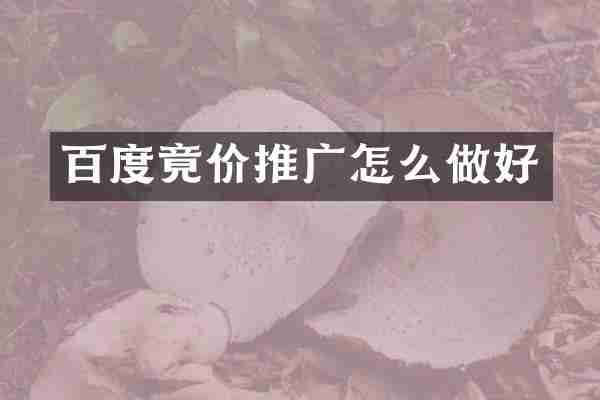 百度竟价推广怎么做好