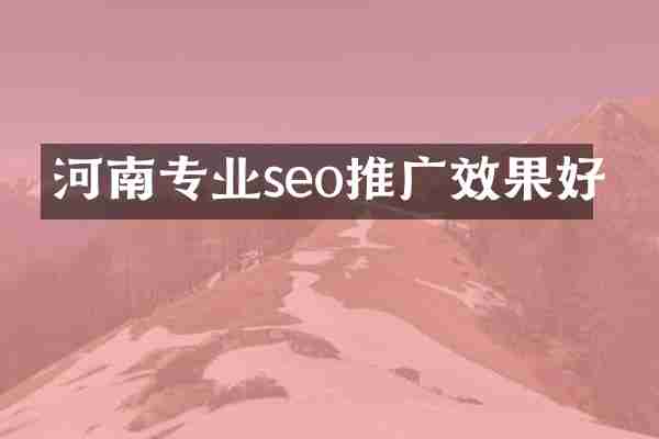 河南专业seo推广效果好