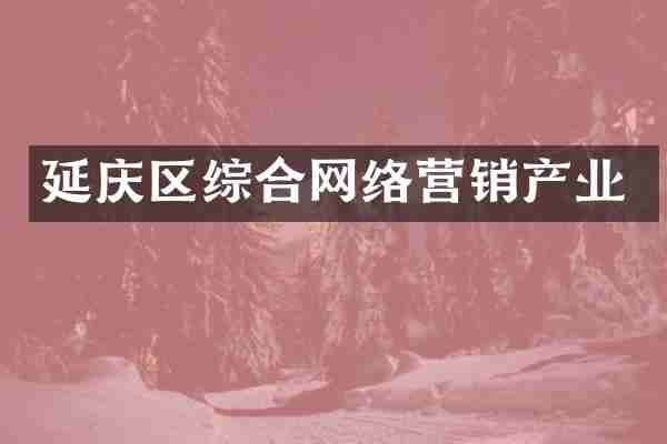延庆区综合网络营销产业