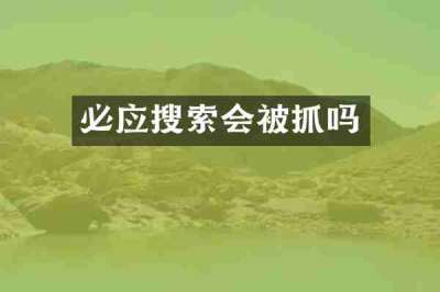 必应搜索会被抓吗