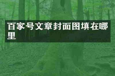 百家号文章封面图填在哪里