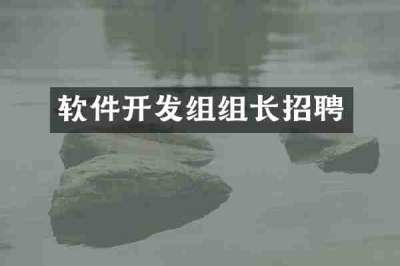 软件开发组组长招聘